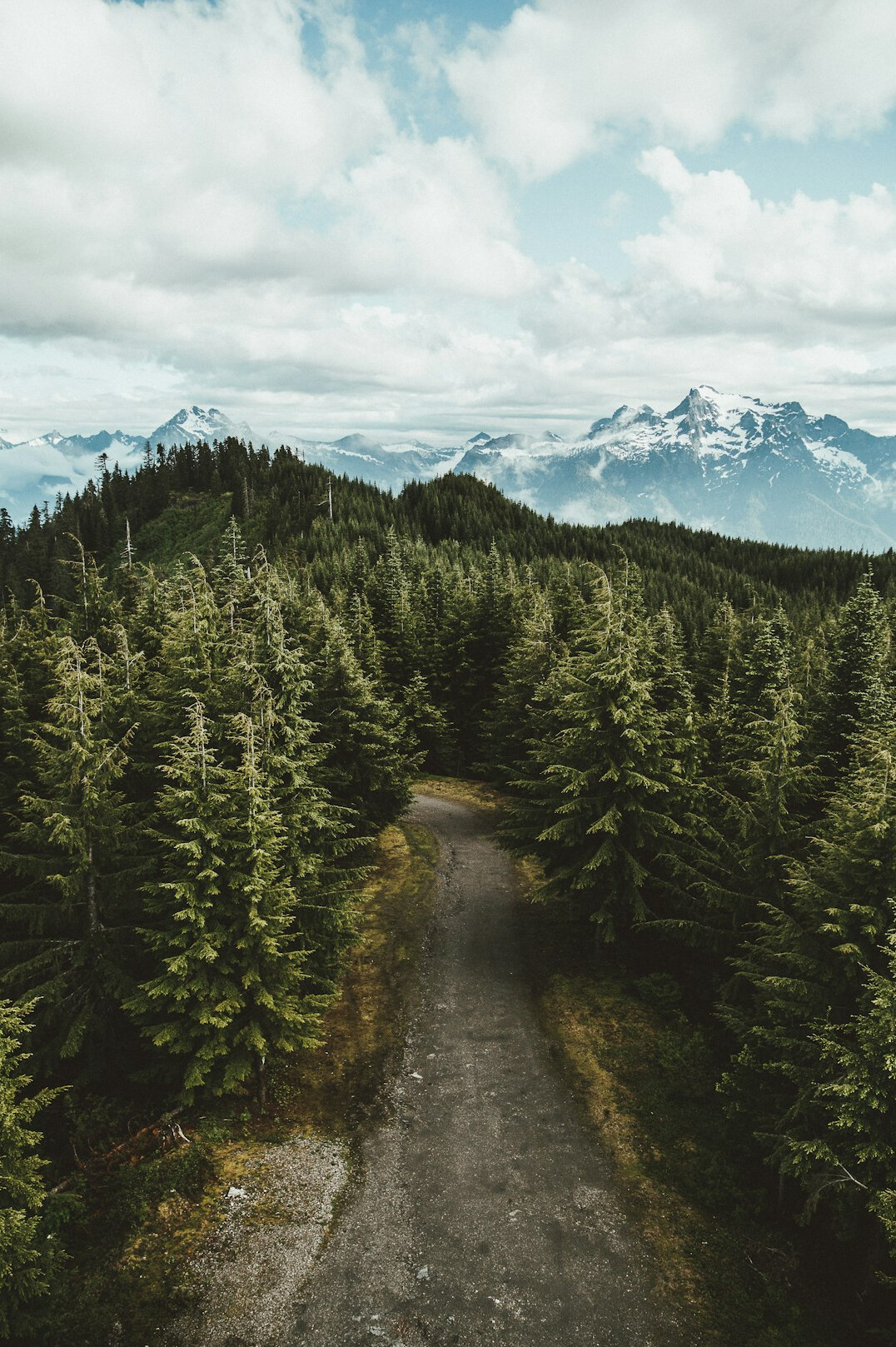 hiking trail nature